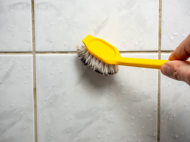 Best Toxic Mold Removal  in Flower Hill, MD