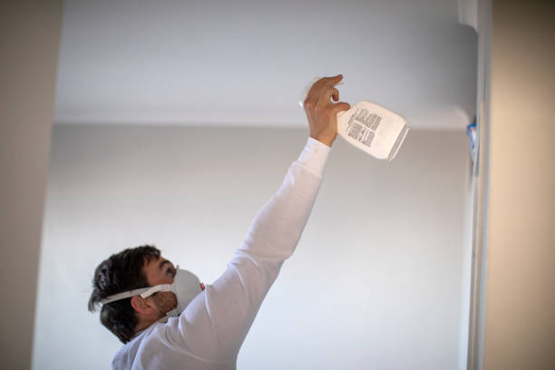 Best Black Mold Removal  in Flower Hill, MD