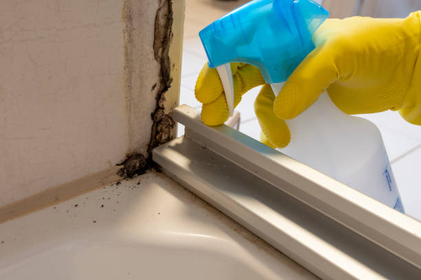 Crawl Space Mold Removal in Flower Hill, MD