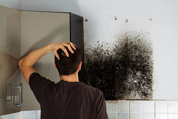 Best Emergency Mold Removal  in Flower Hill, MD